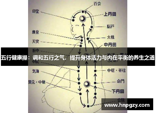 五行健康操：调和五行之气，提升身体活力与内在平衡的养生之道