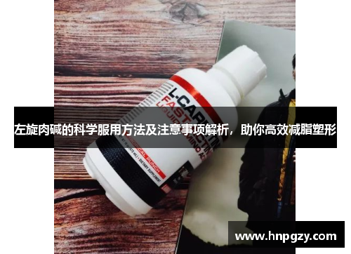 左旋肉碱的科学服用方法及注意事项解析，助你高效减脂塑形